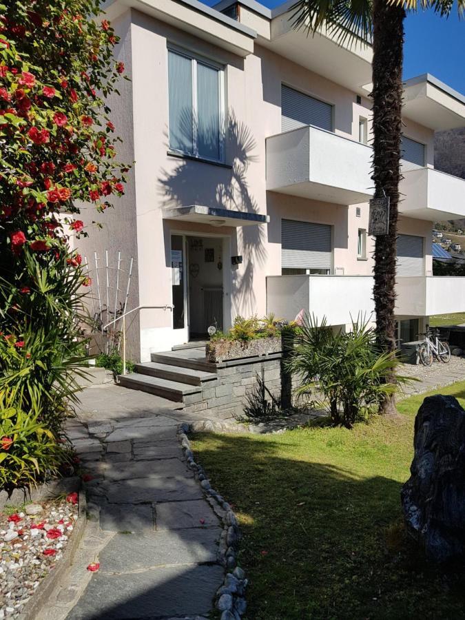 Garni Elisabetta Gordola Exterior foto